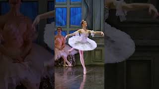 Russian ballet The Nutcracker Moscow [upl. by Gayel]