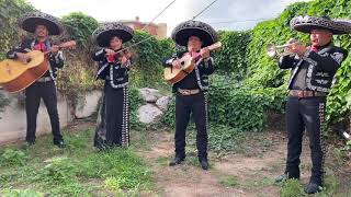 Feliz Cumpleaños con mariachis [upl. by Yderf688]