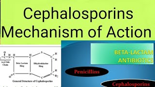 Antibiotics Cephalosporins Mechanism of Action [upl. by Theda]