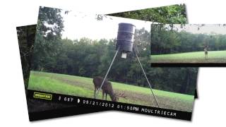 Moultrie Panoramic 150 [upl. by Korff]