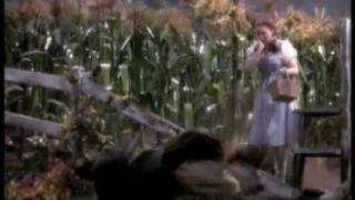 The Wizard of Oz  Der Zauberer von Oz  modern trailer [upl. by Ula]