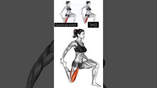 Quadriceps stretch  Body building workout youtubeshorts [upl. by Bowers77]