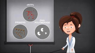 Basics of PCR [upl. by Artemas]