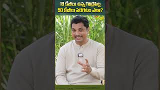 గొర్రెపిల్ల 50 కేజీలు పెరగడం ఎలా SheepFarming GoatFarming ToneAgri SheepBusinessGuide shorts [upl. by Nitza]