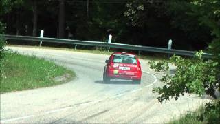 Rallye des Vallées 2014 [upl. by Yarahs]