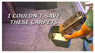 I Couldnt Save These Carpets [upl. by Kenley]