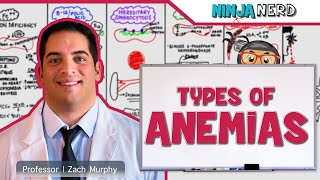 Hematology  Types of Anemias [upl. by Camile]