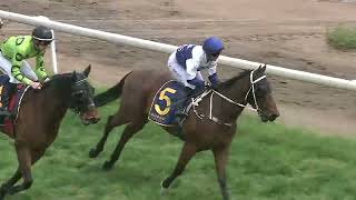 Mudgee 05 10 2024 Race 1 [upl. by Waterer]