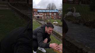 Banned Muzzled XLBully Grabs A Mans Hand And Touches His ❤️ dog puppy xlbully love dogwalk [upl. by Prud927]