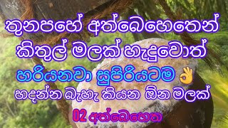 සුපිරියට අත්බෙහෙත් මලක් හදමු🌴How tomake kithul flower🍺🐝💰 kithul mal hadala ra bomupeni kamu [upl. by Romine]