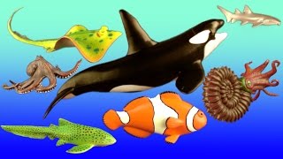 12 Shark Toys Collection Orca Fish Nemo Whale Toys for Kids Tiburón Tubarão [upl. by Ertnod650]