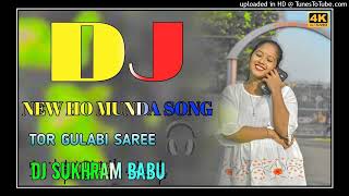 TOR GULABI SAREE  NEW HO MUNDA DJ SONG 2024  HO MUNDA VIDEO SONG  HO MUNDA DJ SONG 2024  DJ [upl. by Graner]