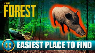 THE FOREST  Where to find BOAR Easiest Spot 2024 [upl. by Sontich]