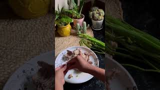 CELERY CHICKEN SOUP 🍲 chickenrecipes cooking foodie recipe chicken soup souprecipe [upl. by Eihcir]