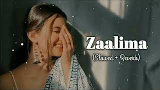 Zaalima Slowed  Reverb  Raees  Arijit Singh amp Harshdeep Kaur [upl. by Eerbua]