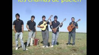 los chamas galopando [upl. by Adle]