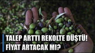 Talep Arttı Rekolte Düştü Zeytin Yağı Fiyatı Artacak Mı  AGRO TV HABER [upl. by Ahsiemac]