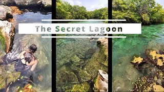 Grand Sirenis Riviera Maya Mexico  The Secret Lagoon  Best Snorkeling  Part 3 [upl. by Wenona632]