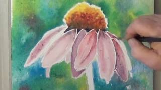 Watercolor Coneflower with Background for Beginners Using Color and Value for a Painting That POPS [upl. by Roht]