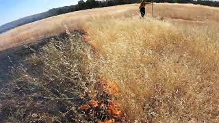 Streaming Live from Bidwell Park Burn [upl. by Thorvald]