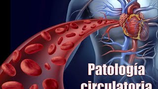 Practica patologia circulatoria Infarto placentario [upl. by Vachill919]