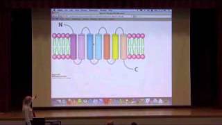 Cellular Signaling II [upl. by Nerine]