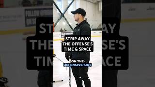 STRIP AWAY THE OFFENSES TIME amp SPACE hockeydevelopment hockeytraining [upl. by Berke]