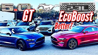 The EcoBoost is the Mustang to buy right now Better than the GT [upl. by Cawley740]