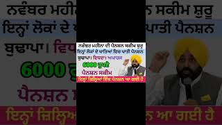 2500 pension scheme for punjab 2024  2500 budhapa pension1000 pension scheme in punjab 2024 [upl. by Schurman613]