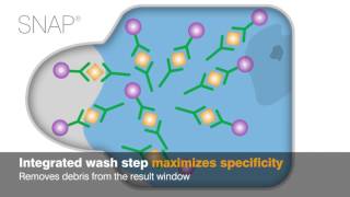 IDEXX SNAP Tests Technology in Action [upl. by Akinyt]