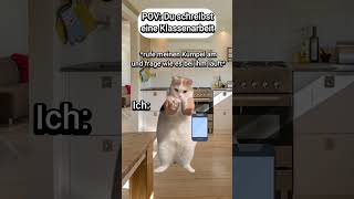 POV Du schreibst eine Klassenarbeit😐 PART 1 katzenvideos katze schule shorts lustig katzen [upl. by Cohn]