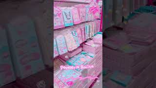 Papelería Kawaii🌷 recorrido buen provedor sanrio kawaii aesthetic compras cutestickers [upl. by Akessej]