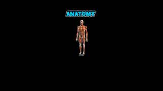 Anatomy next neet pg inicet mbbs first year med school [upl. by Salbu375]