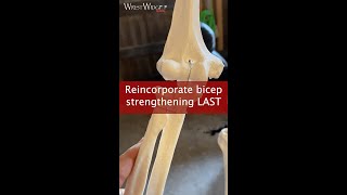 Reincorporate bicep strengthening last for TFCC injuries [upl. by Germain]