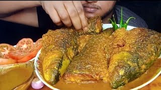 Spicy Fish masala  Hilsha Fish  Telapiya Fish  Rice  Chilli amp Gravy Eating Show [upl. by Akinahc]