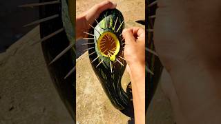 Fishing video deadly fish fishing trap predatory fins pleco monster catch koi fish [upl. by Adriano910]