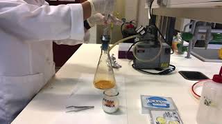 Slide preparation w acridine orange for heterotrophic prokaryotes w epifluorescence microscope [upl. by Enitsej56]