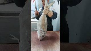 Fish Giant Trevally  fish cutting skills viral shorts cuttingfish [upl. by Allehc903]