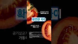 세스코 공기 살균기 토마토 실험 영상  일상 속 공기 살균이 필요한 이유 세스코 공기살균기 센스미 폐렴균 독감 코로나 살균 모션인식 바이러스 선제공격 [upl. by Llerdnek]