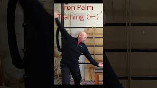 quotMastering Essential Iron Palm Techniques Unveiling the Power of Precision Trainingquot 铁砂掌训练（一）熬掌 [upl. by Nnaitsirhc276]