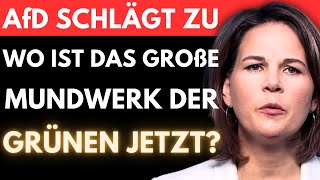 AfD ZERREIßT Grüne 🚨 Brandner KNALLT Grüne Runde aus den LATSCHEN  Moderatorin völlig fertig [upl. by Aicnatsnoc]