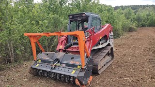 Mulching Property Lines Through Very Thick Brush [upl. by Llireva592]