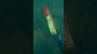 Found Fortnite Gun Underwater While Scuba Diving [upl. by Eelanna]