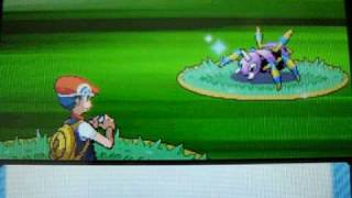 Shiny Ariados 1 of 5 pokeradar chain 40 pokemon diamond [upl. by Nnaeiluj637]