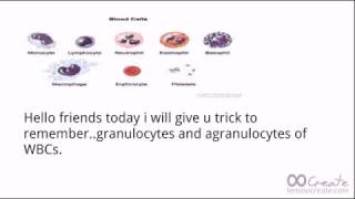 Trick to remember WBCs granulocytes and agranulocytes For neet [upl. by Yrallih]