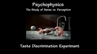 Psychophysics  Taste Discrimination Experiment [upl. by Kort]