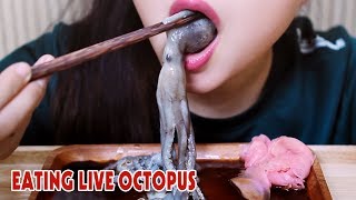 ASMR LIVE octopus challenge exotic food eating sound part 2LINHASMR [upl. by Newo423]