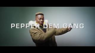 Olamide ft Davolee  Pepper Dem Gang  official video [upl. by Patience]