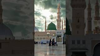 Zammil zammil New Naat shorts viralvideo eidmiladunnabi duet youtubeshorts [upl. by Nam]