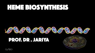 HEME BIOSYNTHESIS [upl. by Auric]